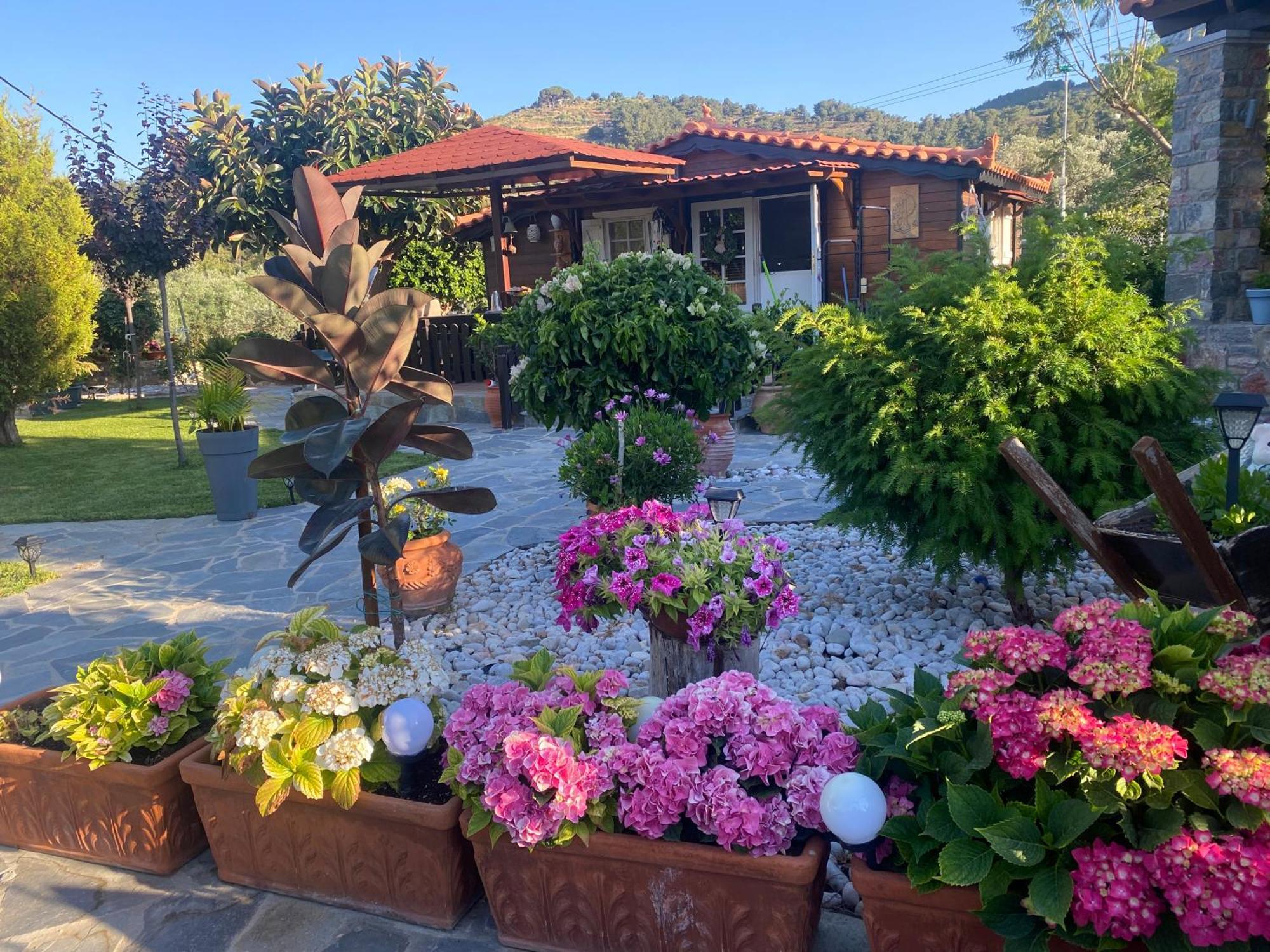 A Wooden House In * Kardamyla